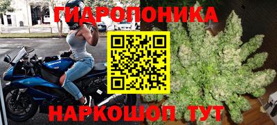 прущие грибы Среднеуральск