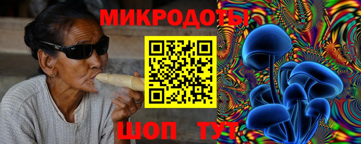Псилоцибиновые грибы Cubensis Шебекино