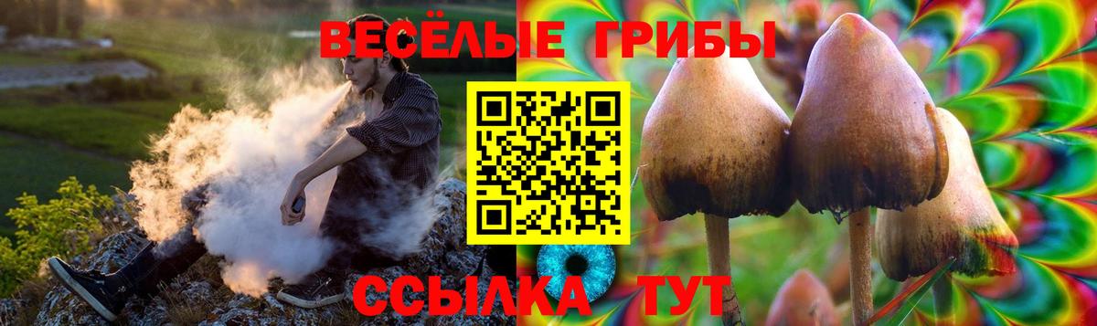 Псилоцибиновые грибы MAGIC MUSHROOMS  Вход с VPN  Галлюциногенные грибы мицелий  Шебекино 