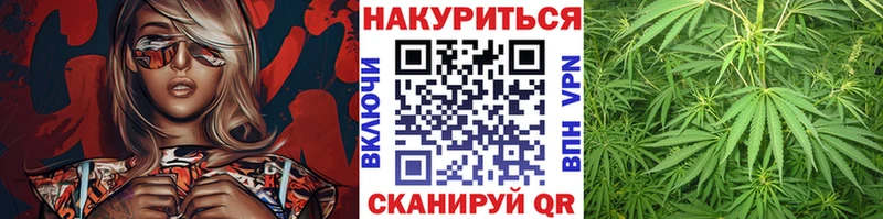 kraken сайт  Шебекино  Бошки Шишки Amnesia 